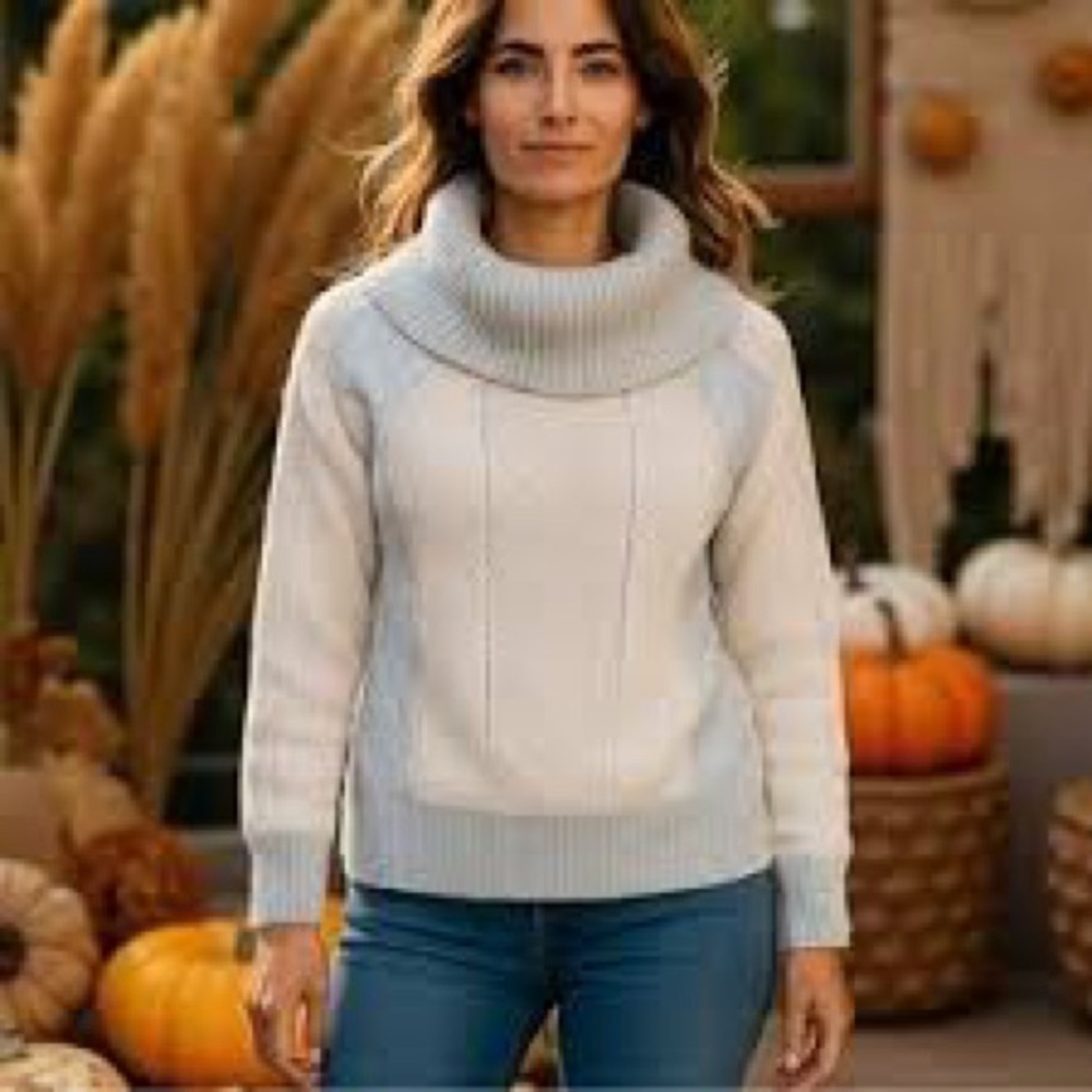 Sundance lambswool/angora rabbit hair long sleeve cow neck sweater size small
